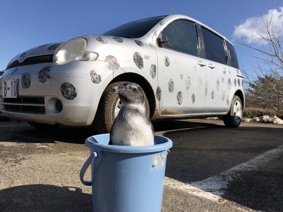 忙碌的出川先生再遊園車旁監督大家有沒有偷懶。