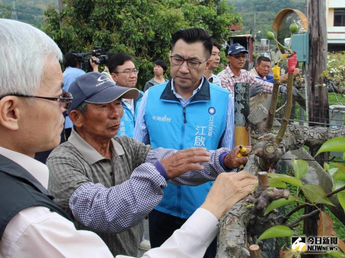 梨穗寒害嚴重　立委江啟臣盼儘速現金補助
