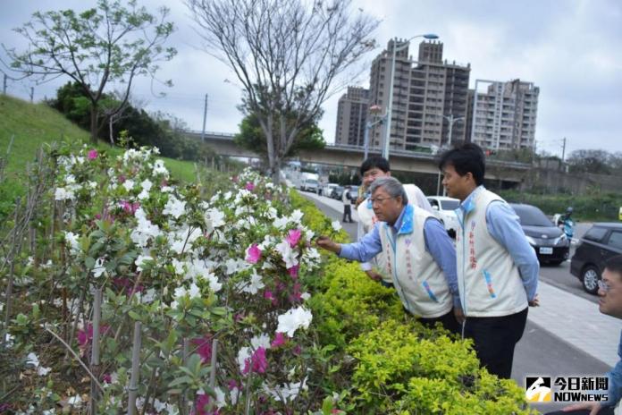 ▲竹北市興隆路河堤邊杜鵑花怒放，新竹縣長邱鏡淳與縣府團隊也駐足賞花。（圖／新竹縣政府提供 , 2018.03.06）