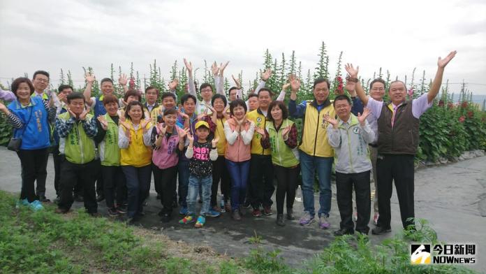 地方萬花筒》影／員林蜀葵花迎風搖曳　構成彩色花海
