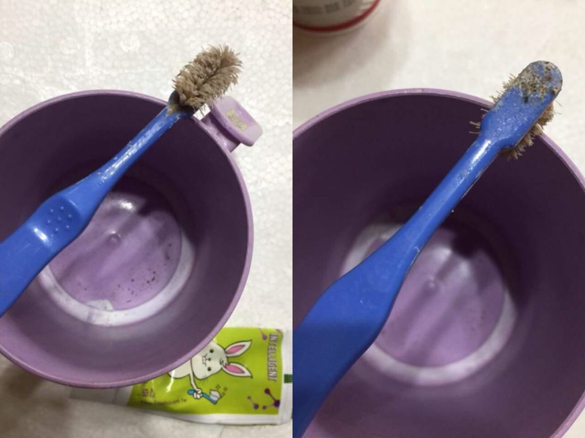 ▲幼兒園牙刷噁爆，老師竟說不用換讓家長氣炸。（圖／翻攝自爆料公社）