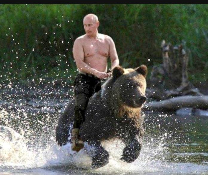▲普丁騎在熊上的霸氣照片廣為流傳。（圖／翻攝自網路）