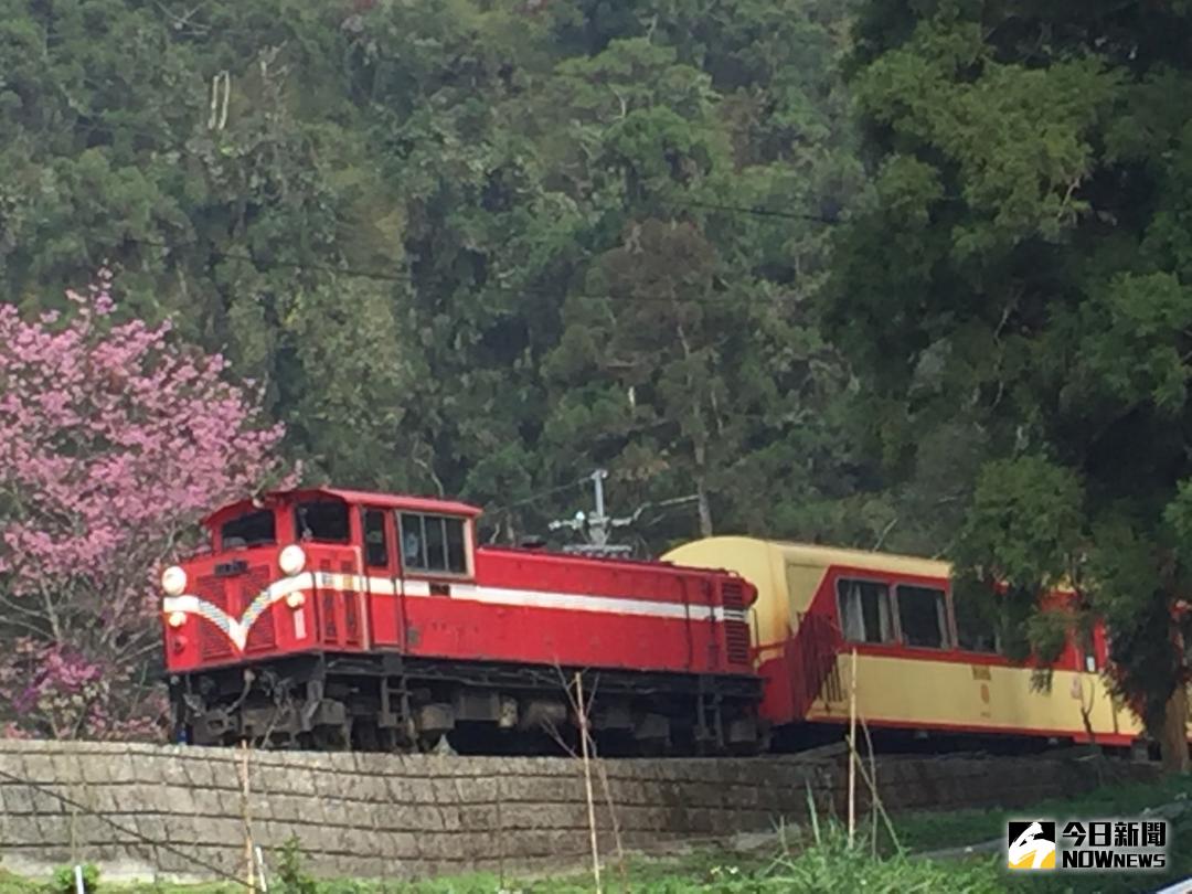 ▲阿里山森林火車將自0311日再延長停駛3個月。（圖／記者陳鐘聲攝 , 資料相片\\)