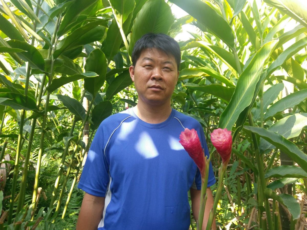 ▲內埔青農姜福慧返鄉務農，砍檳榔樹搭網室種紅薑花及黃椰子等花卉供應內外銷市場。（圖／農糧署南區分署提供）