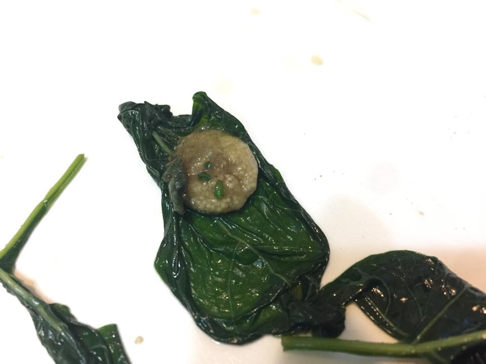 ▲地瓜葉包著一坨黃黃的蜘蛛卵。（圖／翻攝自《爆廢公社》）