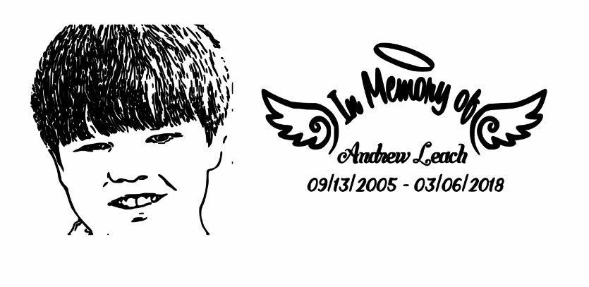 ▲利奇的媽媽在臉書上悼念他的寶貝兒子。（圖／翻攝自Cheryl Hudson臉書）