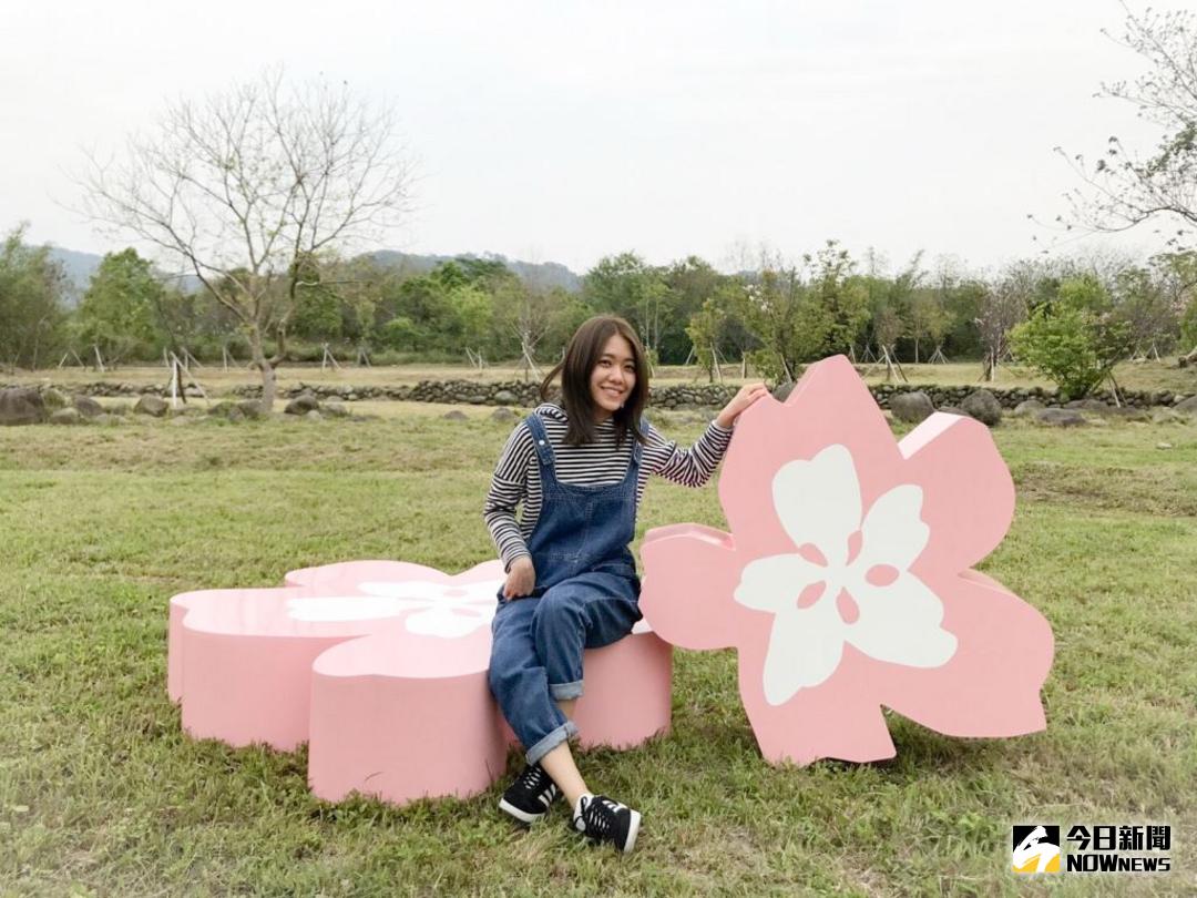 ▲竹東春櫻花海節於竹東河濱公園浪漫登場，粉色大型裝置藝術沙發椅非常吸睛。（圖／新竹縣政府提供 , 2018.03.16）