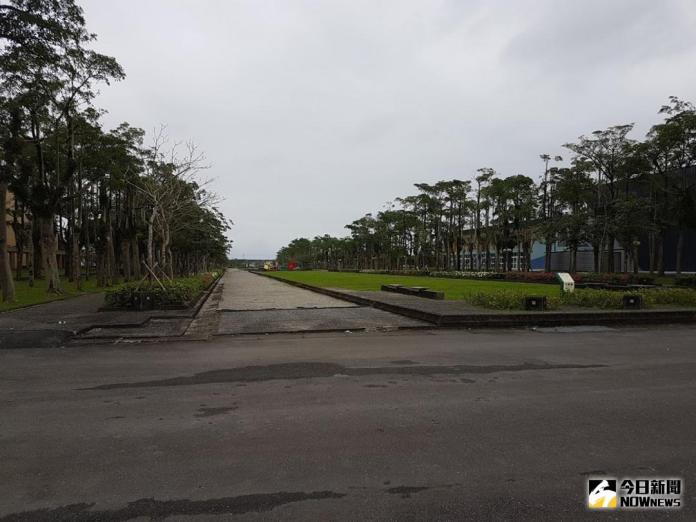 ▲宜蘭運動公園中軸道兩旁的黑板樹將被移除。（圖／記者李清貴攝 , 2018.03.20)