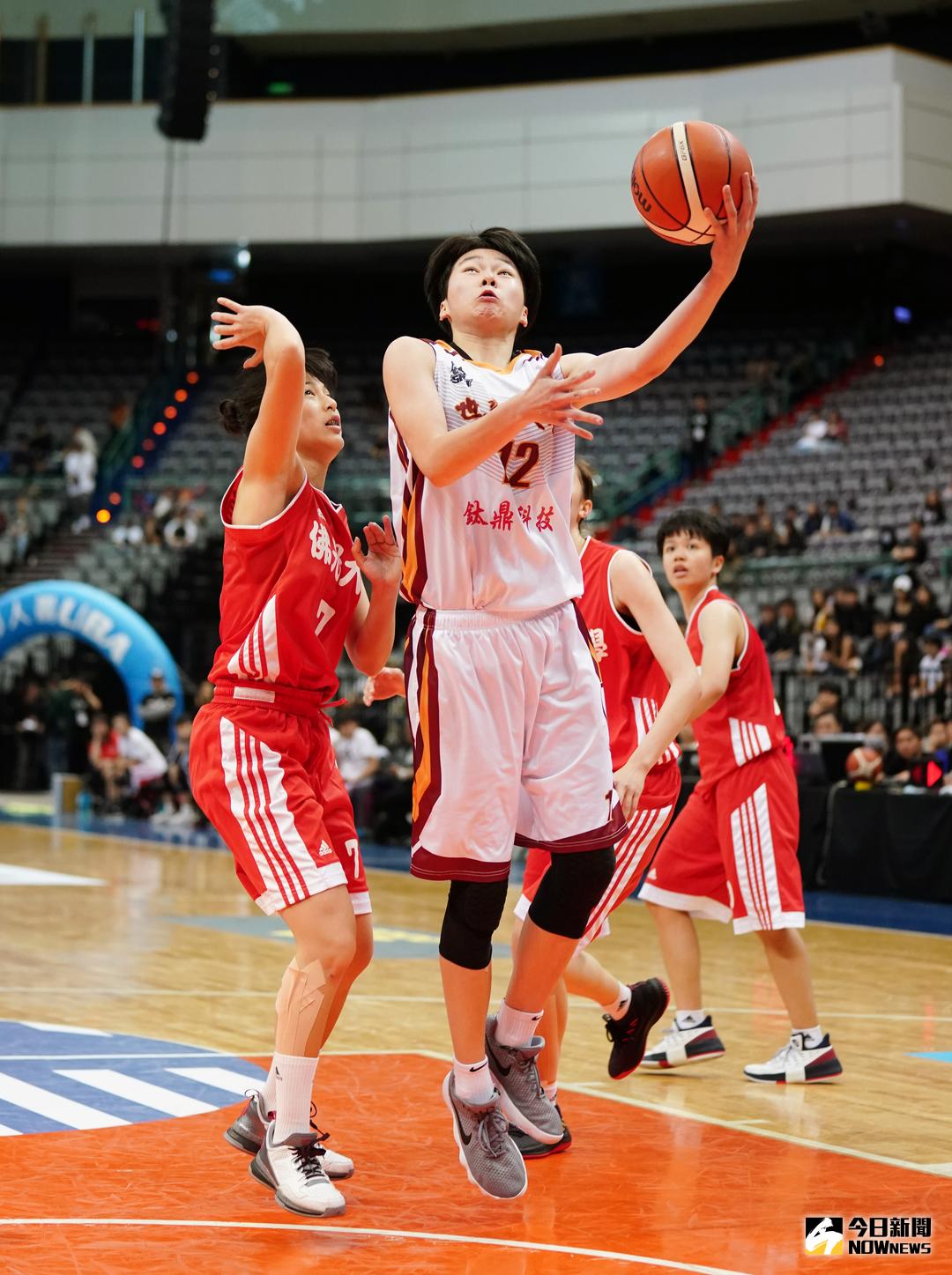 ▲世新大學超級菜鳥林蝶。（圖／大專體總提供）