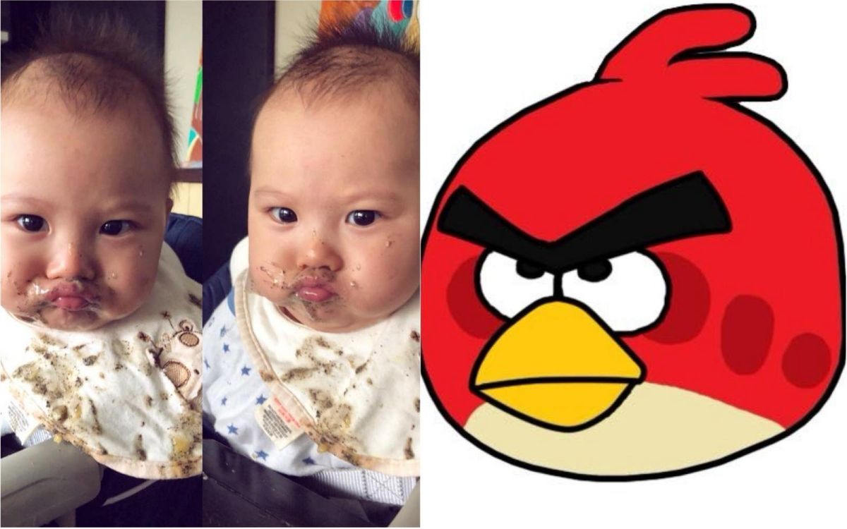 ▲林可彤兒子Adam嘴嘟嘟加上瞪大眼睛，就像卡通裡的憤怒鳥。（圖／翻攝自林可彤臉書 , 2018.03.28）