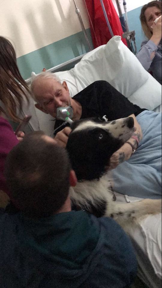 70歲的彼特罹患了一種叫做囊性纖維化的肺部疾病，他因為住院治療已經有一段時間都沒見到愛犬薛普了。