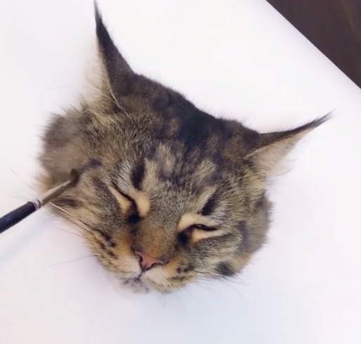 「我畫我畫...我畫畫畫！」超栩栩如生的貓咪...也太像真的了吧！