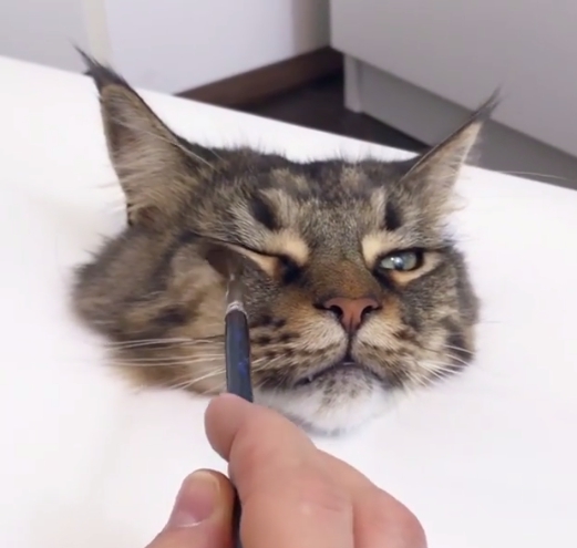 咦咦咦～？牠眼睛竟然還會邊畫邊張開。