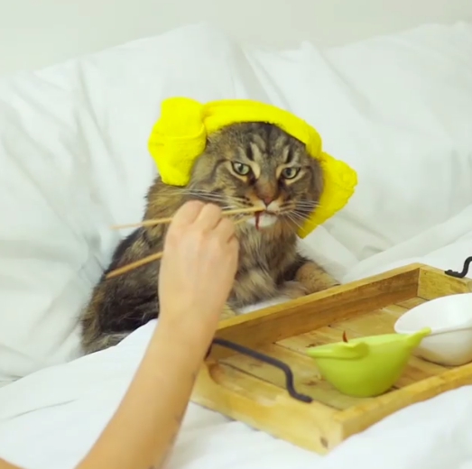 一早起床就有僕人來床邊服侍。