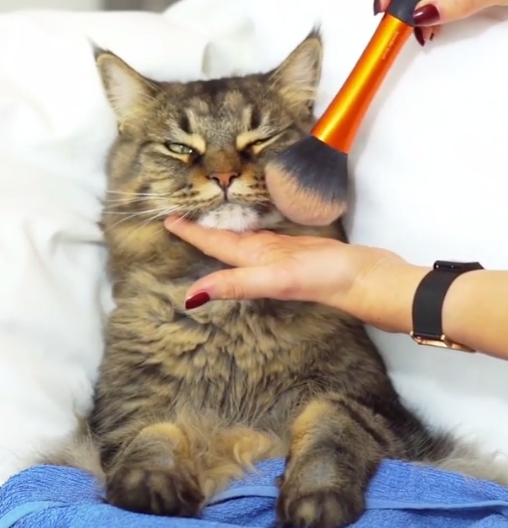 出門一定要經過專屬化妝師為我精心上妝。