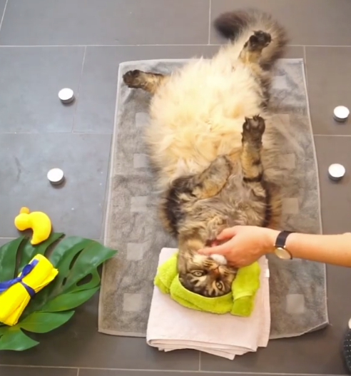 做完SPA還要全身穴道按摩。