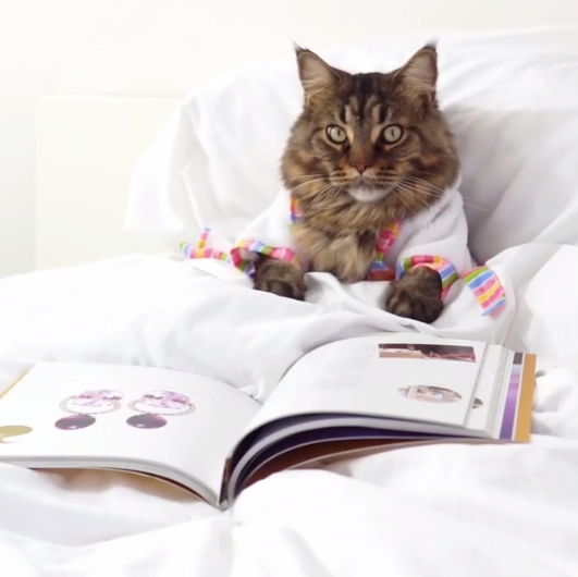 除了搞笑、賣萌、當model，其實閒暇之餘興趣是看書。