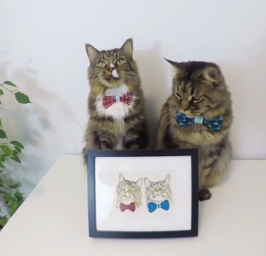 就是我們雙帥啦！