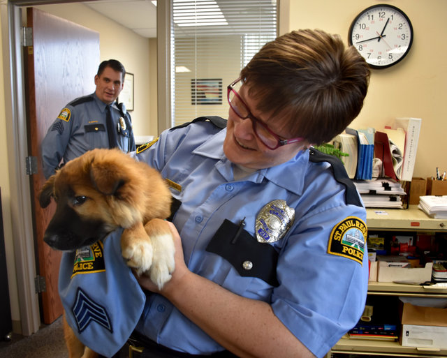 會有這個想法，是因為他們的隊長以往在每個禮拜五時都會帶他的狗狗史黛拉來上班，如果有一隻狗狗可以每天都在警局裡療癒大家，那不是更理想嗎？