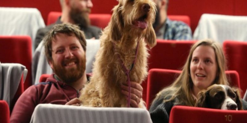 大導演威斯安德森新作『犬之島』　汪星人也一起進戲院觀賞！
