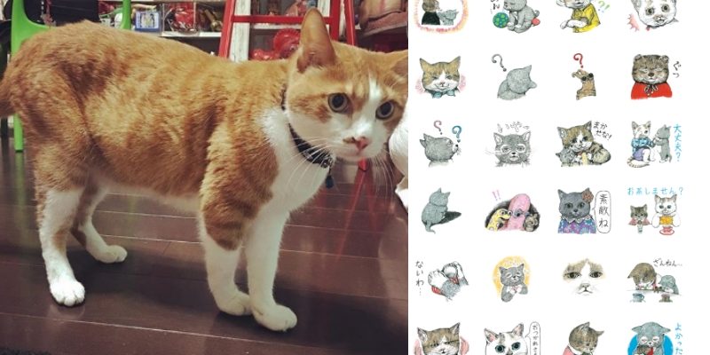 資深貓奴插畫家「樋口裕子」　推出超可愛貓咪貼圖
