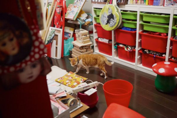 愛貓Boris巡視家裡，充滿著樋口裕子插畫的周邊產品。