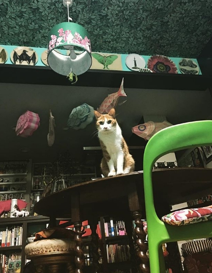 樋口裕子的家中猶如她畫裡世界的重現。