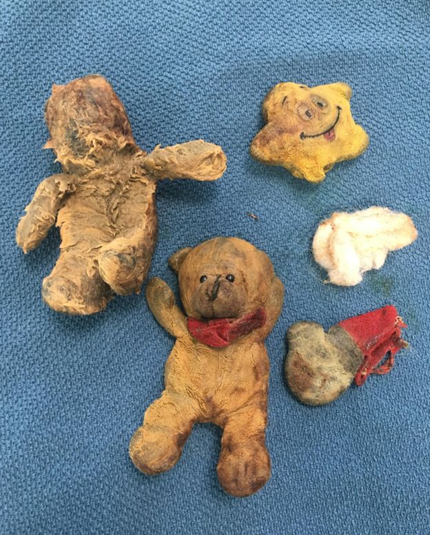 珍說，這四隻娃娃是家裡另一隻吉娃娃的玩具，蜜西不知道什麼時候偷走它們還吞下肚！