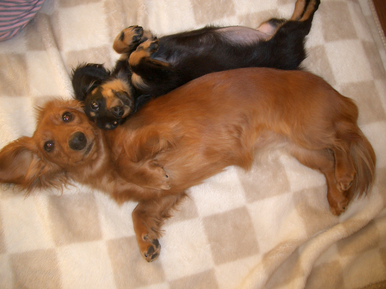 （圖／photo-ac）