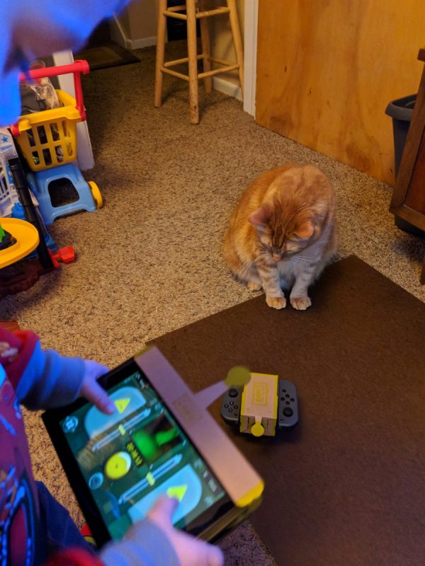 Nintendo Labo的愛用者...也許就是你家的貓！
