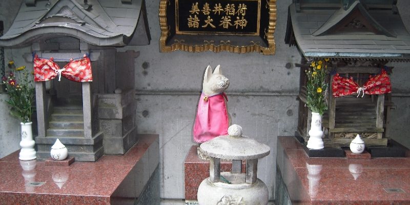 日本神秘「貓稻荷神社」　神明竟叫信眾「不准吃章魚」
