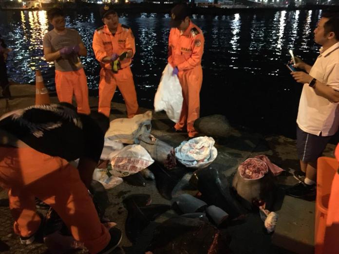 ▲第一岸巡總隊查獲漁船載運已支解的海豚肉。（圖／第一海岸巡防總隊提供, 2018.04.03\\)