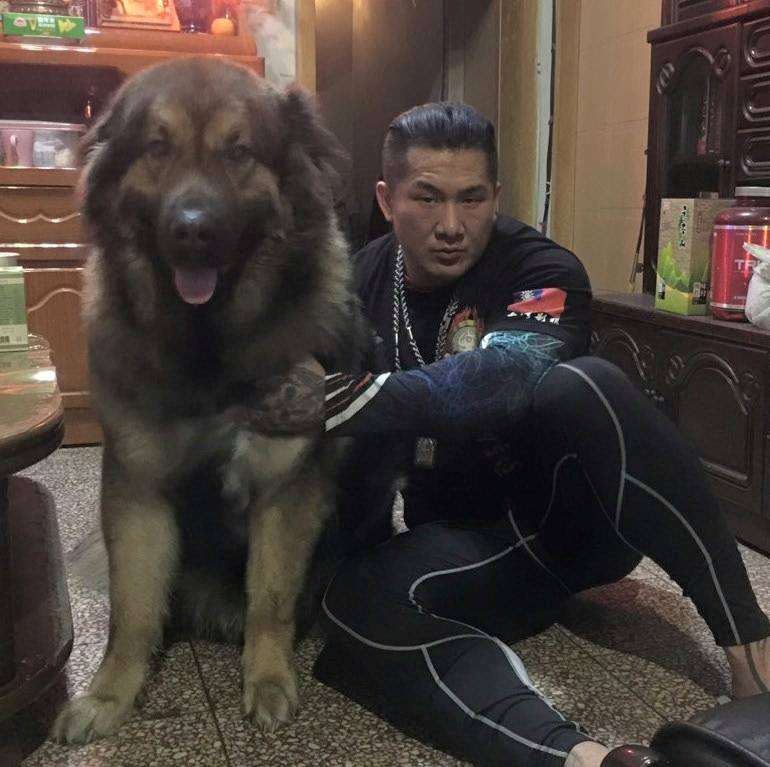 ▲「館長」陳之漢昨（ 19 ）日 PO 文盼應徵兩名助理，但面試的要求除了「不怕苦不怕難不怕死」之外，就是要「注意大雄這一點」。（圖／翻攝自「飆捍」臉書）