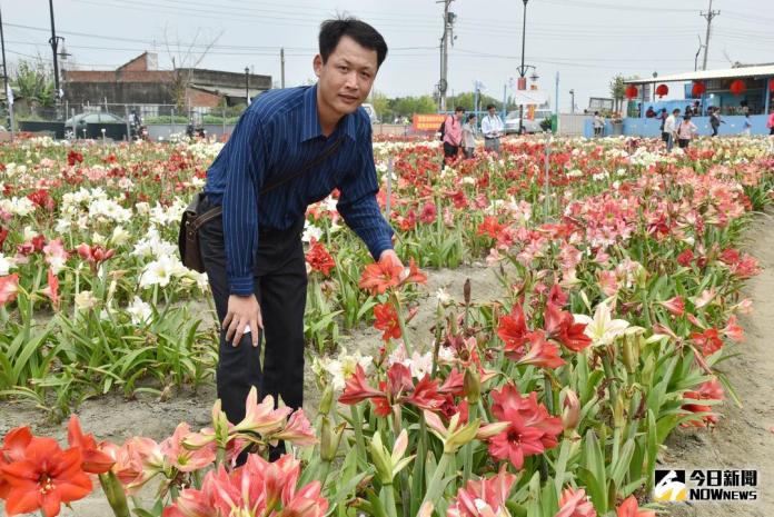 花癡吳俊育　讓四湖開滿孤挺花
