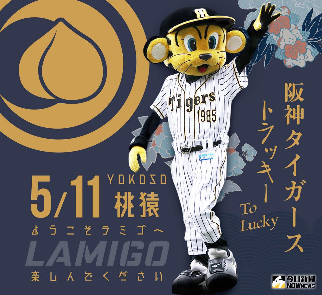 ▲阪神吉祥物Tolucky（圖／猿隊提供）