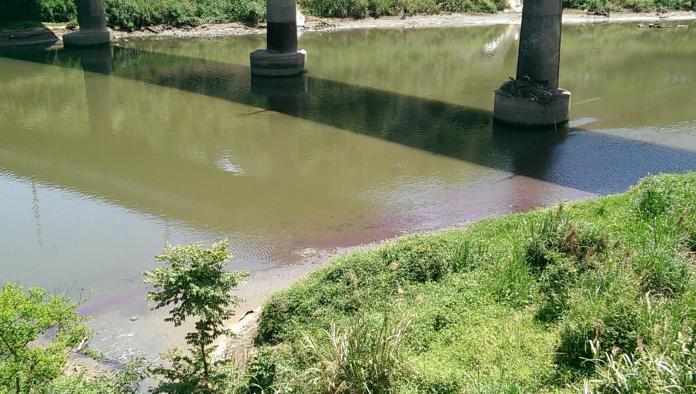 基隆河「變色」　新北揪出印刷廠偷排廢水
