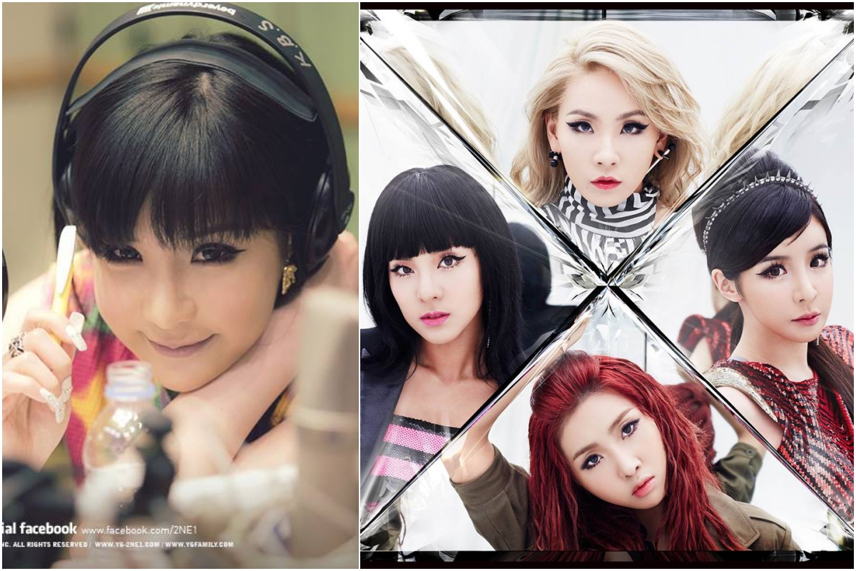 ▲朴春（左）曾走私安非他命，遭爆檢察官吃案。（圖／2NE1臉書 , 2018.4.25）