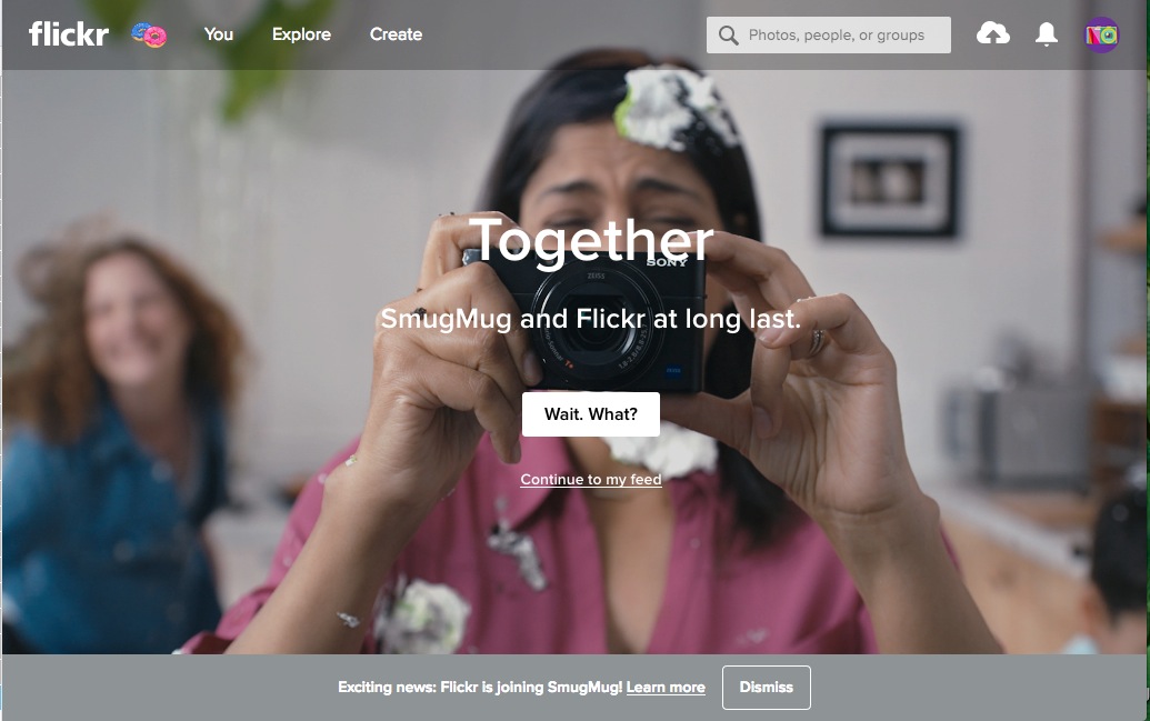 ▲ Flickr 日前於官網宣布，未來將投奔 SumgMug ，告別 Yahoo 。（圖／ 翻攝自 Flickr 官網）