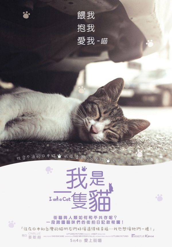 韓國紀錄片「我是一隻貓」是話題紀錄片《武鉉：雙城記》王牌製片 趙恩成首次執導的作品，還請來了CNBLUE成員姜敏赫擔任旁白。（圖／車庫娛樂提供）