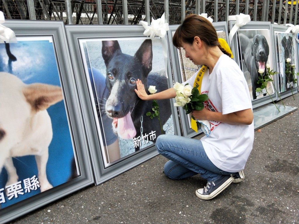 苗栗狗肉販事件／動保、環保團體齊上街頭　為冤死毛小孩討公道（圖／寵毛網）