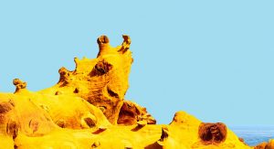 和平島公園內的海兔岩。(圖/和平島公園)