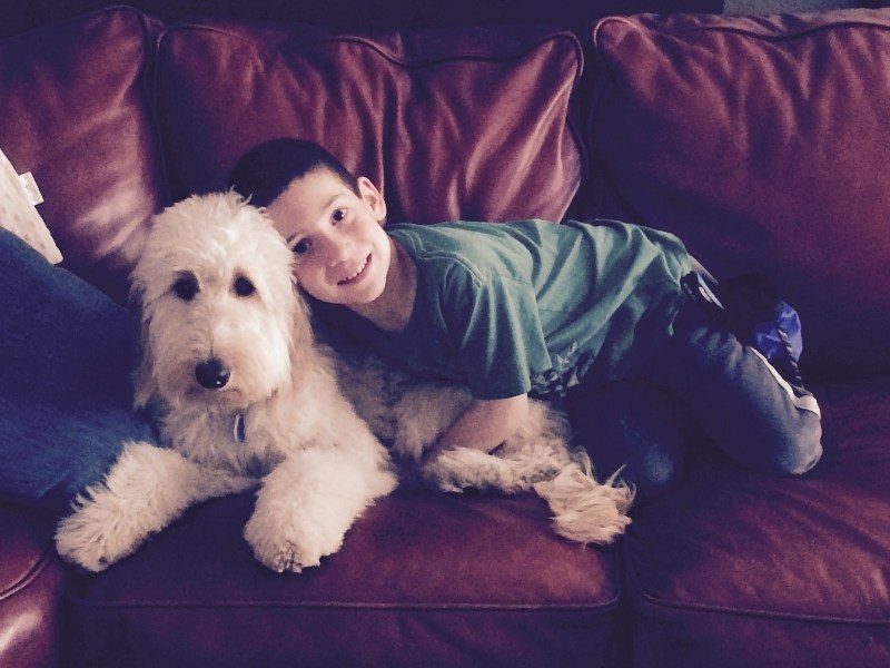 超聰明糖尿病警報犬　靠嗅覺就可以拯救主人（圖／寵毛網）