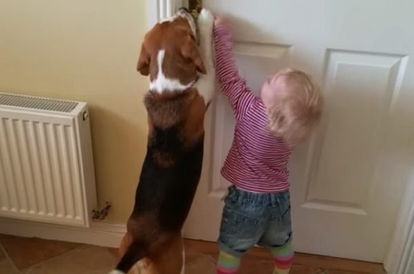 狗狗幫小女孩開門。（圖／YouTube）