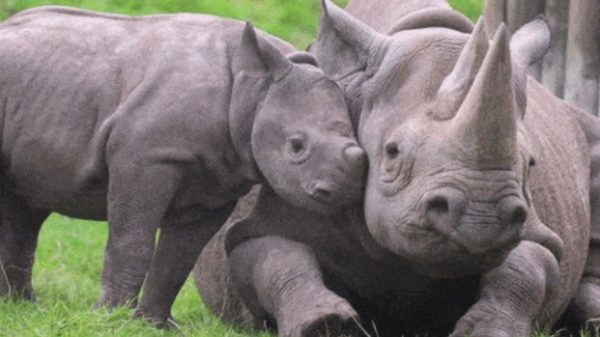 面對小孩總有無比的耐心。