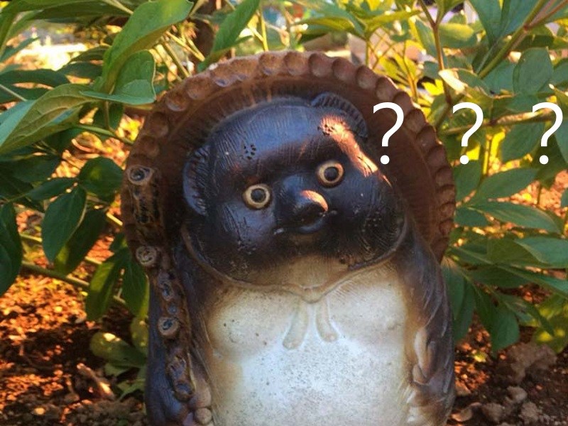 庭院裡擺了幾十年的狸貓娃娃　原來裡面竟暗藏玄機！（圖／寵毛網）