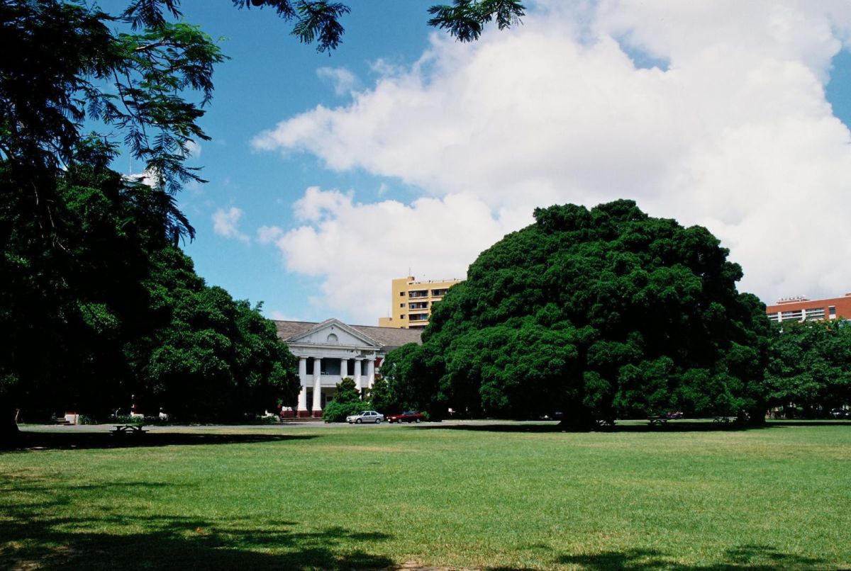 ▲監委調查台成清交四所大學推動英語授課進展。（資料照／成大提供）