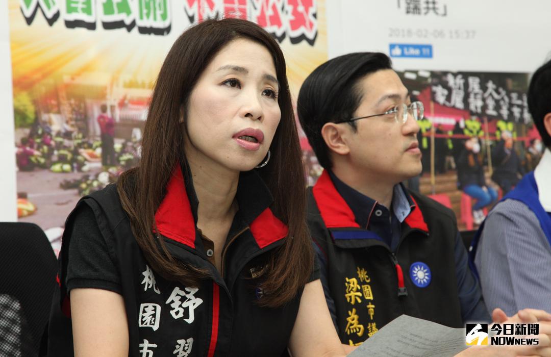 ▲舒翠玲說，民進黨政府應該要落實黨政軍的勢力退出校園，還給大學自治的權利。台灣要的是真民主，而不是民粹為名的假民主。（圖／資料照片 , 2018.05.03）