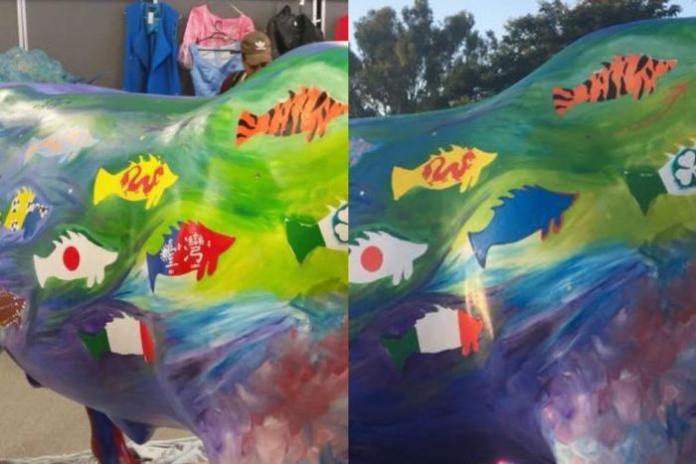 ▲ 2 名台灣出生的學生原在澳洲牛肉博覽會上畫了台灣國旗，展出時被發現遭到塗蓋，讓學生家長相當火大。（圖／翻攝自《 ABC Online 》）