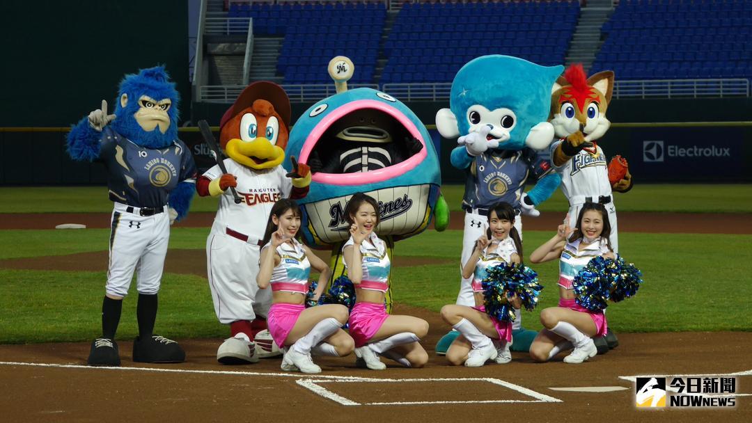 ▲日職羅德謎之魚到桃園球場（圖／吳政紘攝）