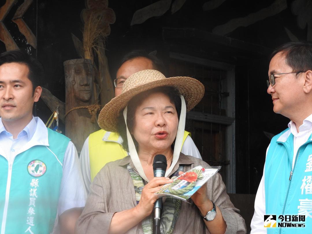 ▲國防部長嚴德發日前表示，「國軍不會為台」，總統府祕書長陳菊對此回應，尊重個人的政治主張，但國防部長必須捍衛台灣安全。（圖／林仕祥攝 , 2018.5.17）